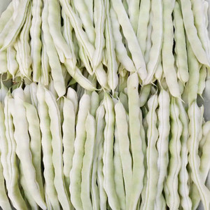 东北白芸豆新鲜蔬菜现采摘发货白不老白大架豆角5斤包邮