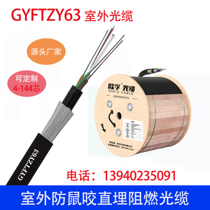 24芯非金属阻燃GYFTZY63-24A1aA1b防鼠咬户外铠装4-144芯直埋光缆