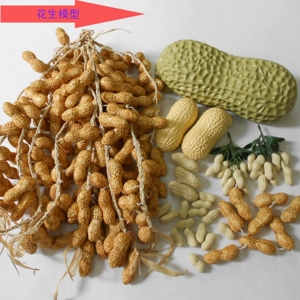 仿真大花生假水果蔬菜模型道具幼儿教学教材假花生串塑胶花生摆件