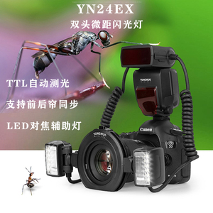 永诺YN24EX双头微距闪光灯适用佳能单反索尼微单相机口腔牙齿昆虫