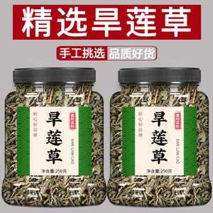 旱莲草中药饮片正品组合茶女贞子墨旱莲茶包女真子墨旱莲和旱莲草