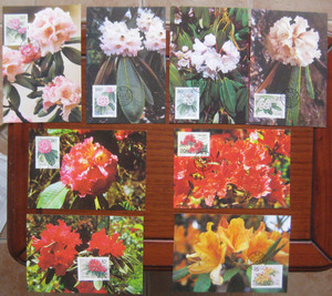 比玉香淘宝日版 动漫 特典 卡片 明信片 相卡 113 出包女王 杜鹃的