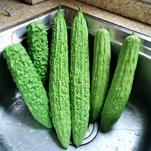 仿真假苦瓜模型凉瓜水果蔬菜装饰幼儿园教育道具玩具橱柜装饰摆件