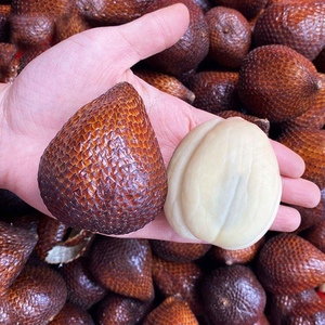 印尼进口蛇皮果新鲜应当季热带孕妇稀奇不常见水果记忆果整箱包邮