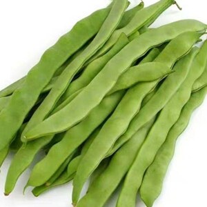 大扁芸豆角新鲜3斤包邮四季豆刀豆现摘鲜嫩青扁豆巴豆蔬菜