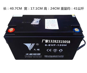 大阳电动四轮车电池