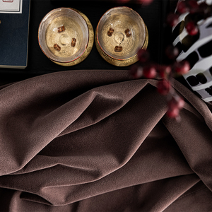 绒布窗帘 咖啡色系 北欧中式轻奢丝绒客厅卧室丝绒高遮光2021新款