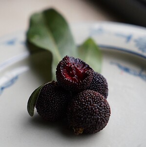 下波约!无双不二 山野杨梅 云南火炭酸甜浓郁玲珑新鲜现摘