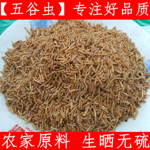 9023人付款天猫同仁堂中药材五谷虫500g克蛆谷虫干水仙子可磨五谷虫粉
