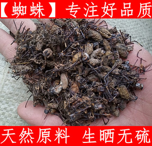 中药材正宗 蜘蛛 花蜘蛛 100克 生晒无硫干现磨超细花蜘蛛粉 纯正