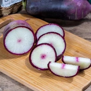 悟空家 冰激凌萝卜礼盒5斤  越靠近萝卜心越甜 紫色皮带一点微辣