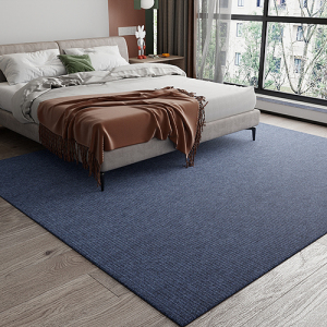 卧室地毯全铺床边毯ins风大面积垫子房间脚垫耐脏满铺家用地垫