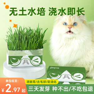 3包多可特懒人猫草盆栽小麦种子猫零食化毛片猫草粒薄荷猫咪零食