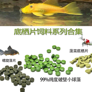 破壁小球藻菠菜鱼粮黄金胡子鱼大帆鱼螺旋藻片异型鱼水晶虾食饲料