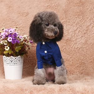 自制狗狗衣服