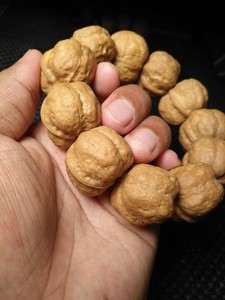 龙脊方尊金蟾元宝铁核桃手串手持,尺寸30,矮桩平头平底,皮质好