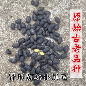 小黑豆 农家自种原始老品种肾形黄芯药用黄心黑豆雄黑豆1斤真空装