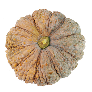 桂林鳄鱼皮南瓜 传统板栗南瓜 栗面老南瓜农家自种蔬菜8斤