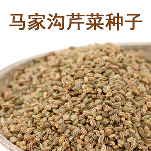 马家沟芹菜种子,大叶黄芹菜种子 10g 全国包邮