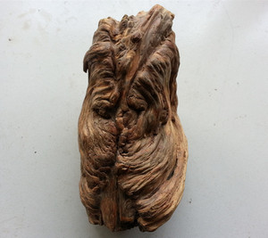 天然松树瘤 根雕摆件造型古朴
