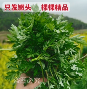 蒿子粑粑安徽新鲜