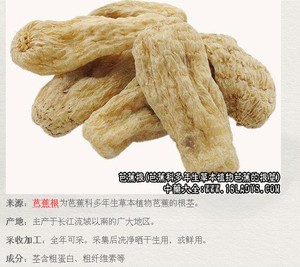 中药材草药 芭蕉根   500克 包邮