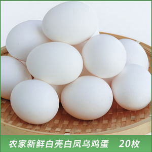 福建漳州白壳鸡蛋新鲜生鸡蛋白皮土鸡蛋农家散养白凤乌鸡蛋白绒蛋
