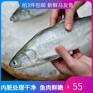 海捕新鲜大伍鱼大午鱼马友鱼竹笋鱼一条半斤鲜活冷冻新鲜海鱼水产