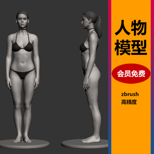 zbrush女性人物女生3D模型角色高精度blender/c4d人物犀牛obj/stl