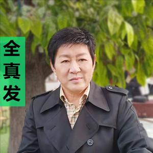 老男人发套真发