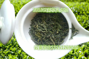 连云港云雾茶