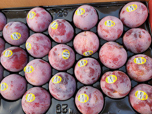 进口新鲜水果美国血丝李恐龙蛋黑布林进口布朗鳄鱼蛋李子新鲜整箱