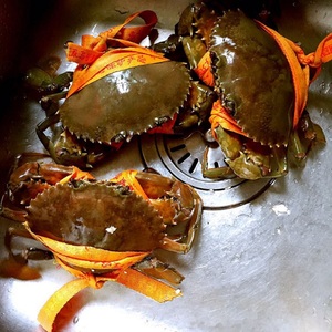 蟹必剥三门青蟹红膏母蟹鲜活2只一斤三两装母红鲟海鲜螃蟹礼盒