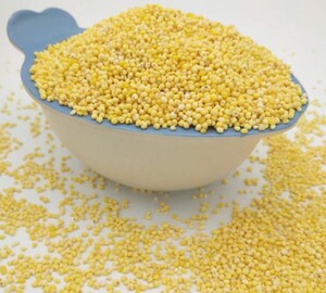 府谷大黄米农家特产绿色天然黄米混搭大米饭可以吃易地搬迁户产品