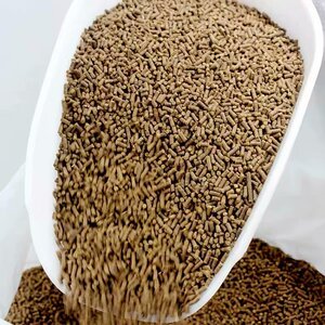 2斤包邮大闸蟹饲料养殖专用河蟹螃蟹宠物蟹小龙虾高蛋白颗粒饲料