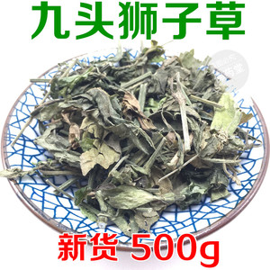 中药材 九头狮子草 新货500g包邮