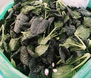 包邮扬州宝应10大特产之一核桃乌青菜黑菜2000克国家地理标志商标