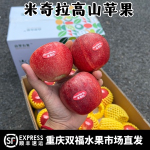 高原生态米奇拉小苹果5斤10斤家庭装新鲜水果应季顺丰包邮