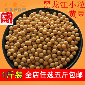 黄豆500g 东北黑龙江特产农家自种小粒笨大豆豆芽豆浆纳豆包邮