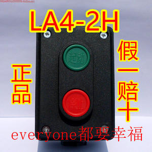 PEOPLE人民电器LA4-2H两位按钮开关一绿一红380V启动停止按钮3H黑
