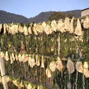 广西英家大头菜