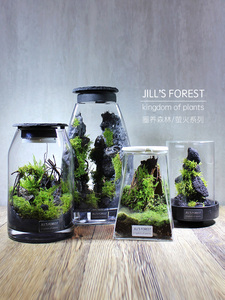 设计师作品合集 植物微缩森林景观办公室雨林缸鱼缸龟蟹两爬礼品