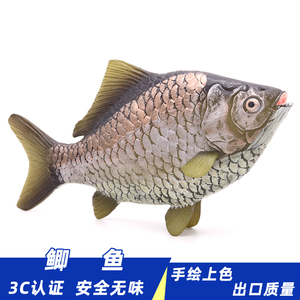 仿真鲫鱼模型玩具观赏鱼鱼缸摆件海洋动物