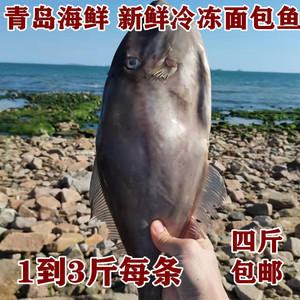 青岛海捕马面鱼面包鱼扒皮浪狼子鱼耗儿鱼新鲜冷冻1到3斤每条包邮