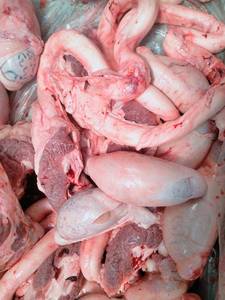 骆驼鞭  内蒙古野生放养骆驼 现宰新鲜骆驼鞭 2个起拍 全国配送