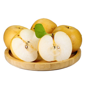 山东秋月梨5斤 当季现摘新鲜水果黄皮梨 莱阳丰水梨 香甜脆汁水足