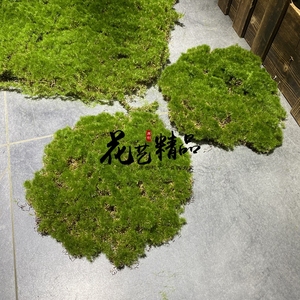 苔藓皮苔藓块青苔植绒摆件软装造景假山草皮草坪毛石头仿真苔藓块