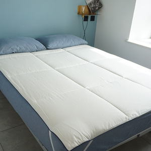 天然新疆长绒棉花床褥垫！高端全棉床垫防滑透气抗菌纯棉垫被柔软