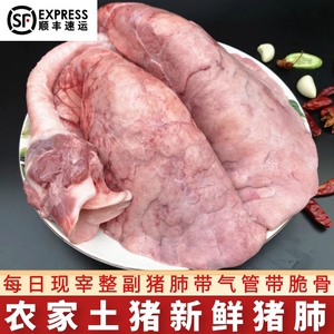 农家土猪猪肺新鲜冷冻1副整肺带肺管脆骨顺丰包邮现宰猪肺子食品