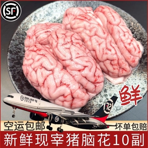 【猪脑生】猪脑生品牌,价格 - 阿里巴巴